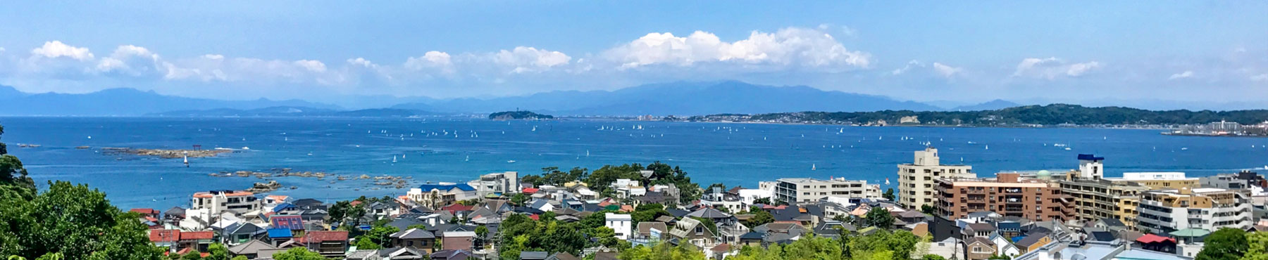 横須賀 葉山公園